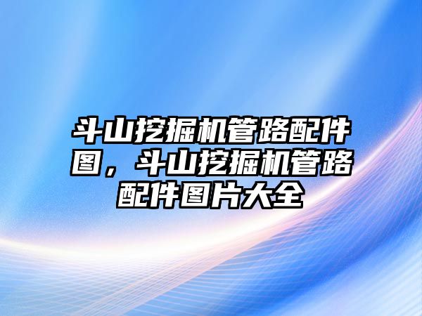 斗山挖掘機(jī)管路配件圖，斗山挖掘機(jī)管路配件圖片大全