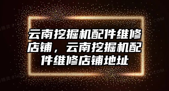 云南挖掘機(jī)配件維修店鋪，云南挖掘機(jī)配件維修店鋪地址