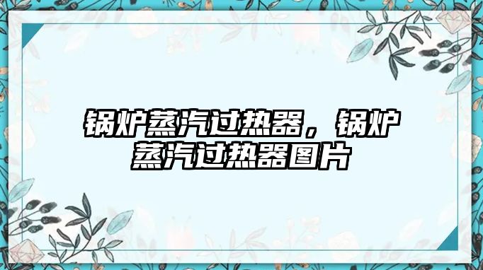 鍋爐蒸汽過熱器，鍋爐蒸汽過熱器圖片