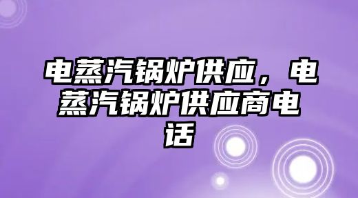 電蒸汽鍋爐供應(yīng)，電蒸汽鍋爐供應(yīng)商電話