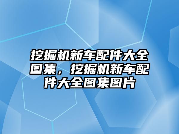 挖掘機新車配件大全圖集，挖掘機新車配件大全圖集圖片