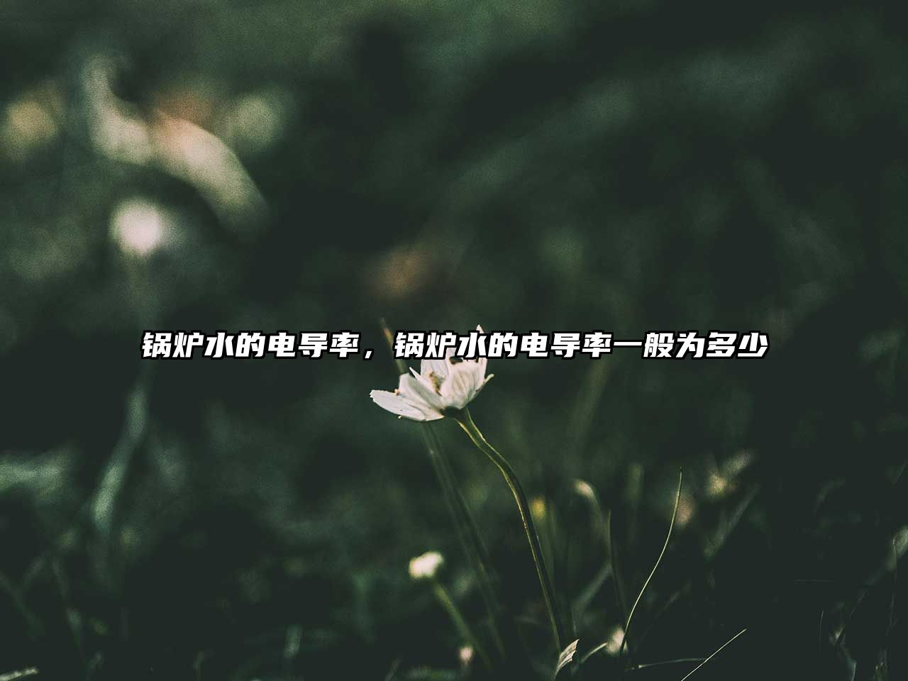 鍋爐水的電導(dǎo)率，鍋爐水的電導(dǎo)率一般為多少