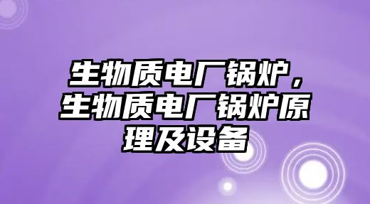 生物質(zhì)電廠鍋爐，生物質(zhì)電廠鍋爐原理及設(shè)備