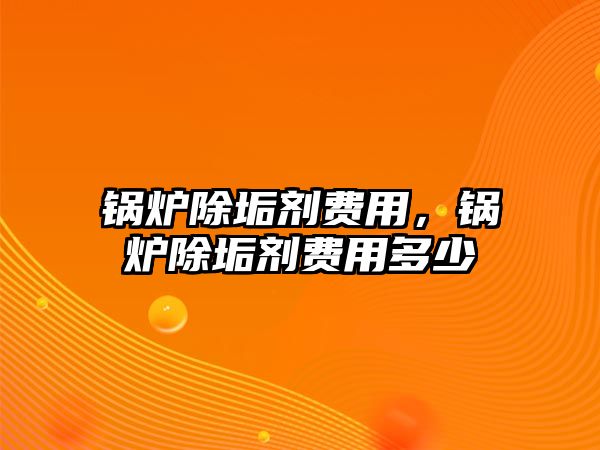 鍋爐除垢劑費(fèi)用，鍋爐除垢劑費(fèi)用多少