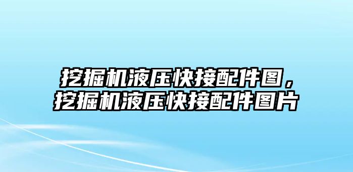 挖掘機液壓快接配件圖，挖掘機液壓快接配件圖片