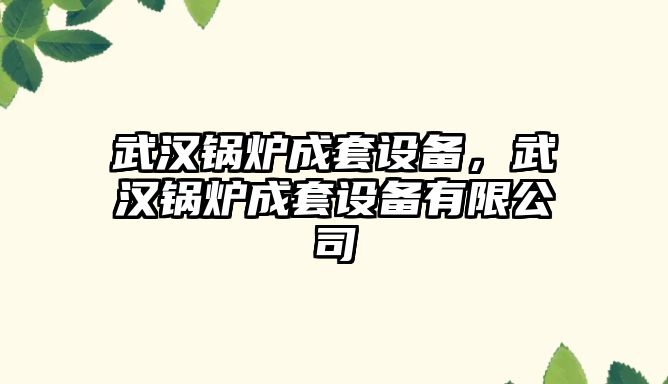 武漢鍋爐成套設(shè)備，武漢鍋爐成套設(shè)備有限公司