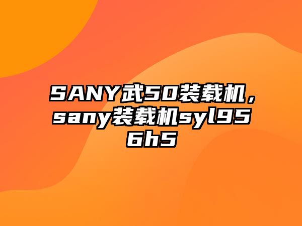 SANY武50裝載機(jī)，sany裝載機(jī)syl956h5