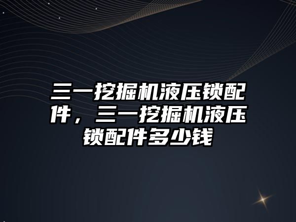 三一挖掘機液壓鎖配件，三一挖掘機液壓鎖配件多少錢