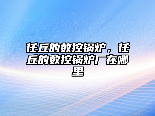 任丘的數(shù)控鍋爐，任丘的數(shù)控鍋爐廠在哪里