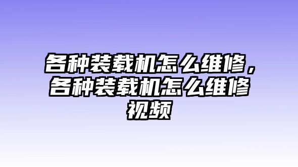 各種裝載機怎么維修，各種裝載機怎么維修視頻