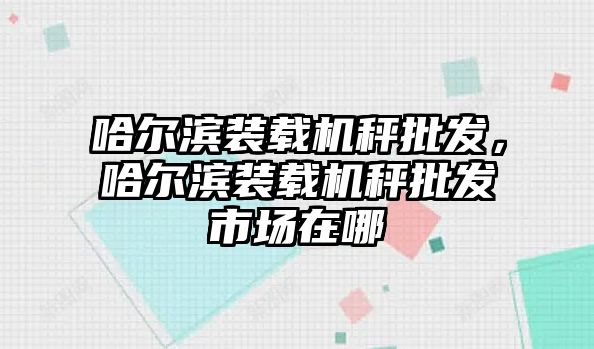 哈爾濱裝載機秤批發(fā)，哈爾濱裝載機秤批發(fā)市場在哪