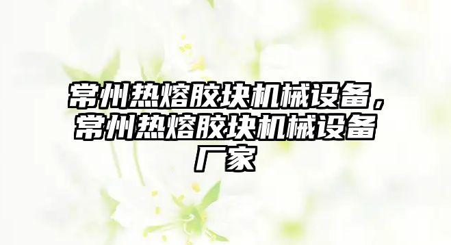 常州熱熔膠塊機械設(shè)備，常州熱熔膠塊機械設(shè)備廠家