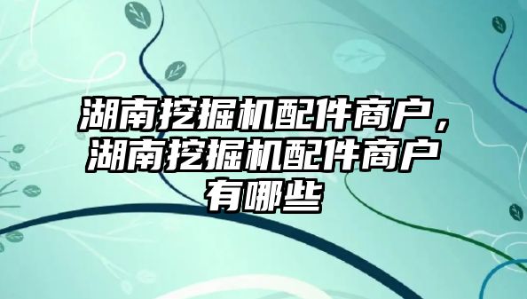 湖南挖掘機配件商戶，湖南挖掘機配件商戶有哪些