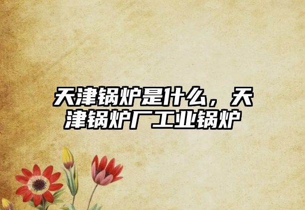 天津鍋爐是什么，天津鍋爐廠工業(yè)鍋爐