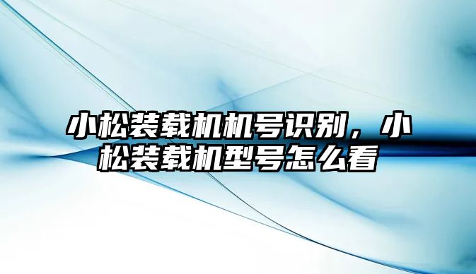 小松裝載機(jī)機(jī)號(hào)識(shí)別，小松裝載機(jī)型號(hào)怎么看