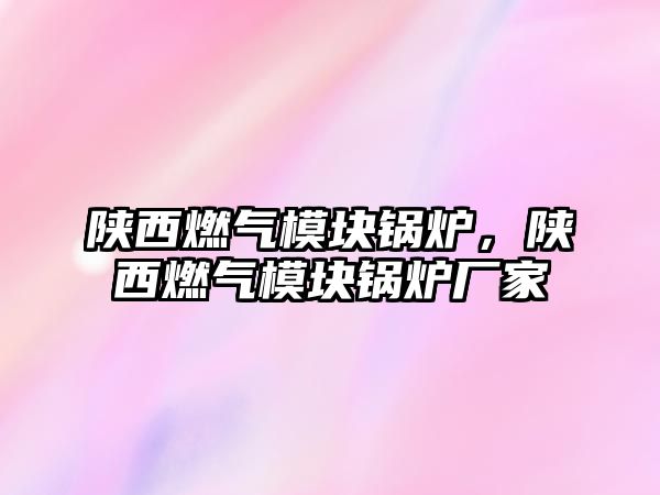 陜西燃?xì)饽K鍋爐，陜西燃?xì)饽K鍋爐廠家