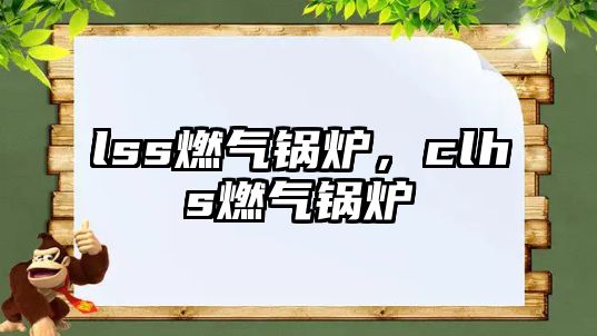 lss燃?xì)忮仩t，clhs燃?xì)忮仩t