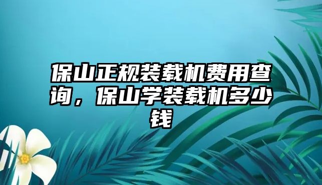 保山正規(guī)裝載機費用查詢，保山學(xué)裝載機多少錢