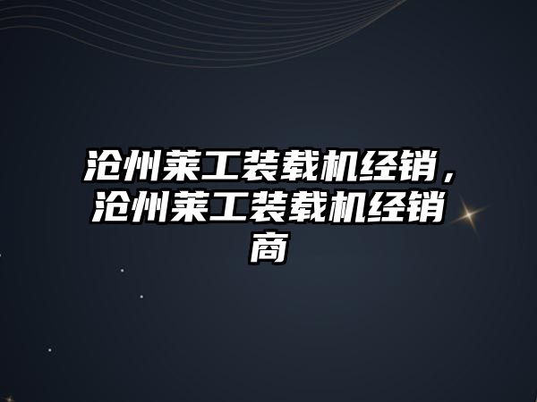 滄州萊工裝載機(jī)經(jīng)銷，滄州萊工裝載機(jī)經(jīng)銷商