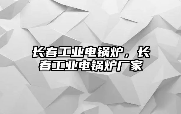 長春工業(yè)電鍋爐，長春工業(yè)電鍋爐廠家