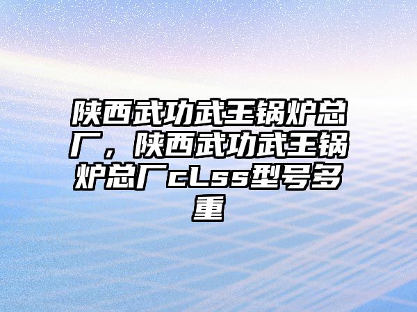 陜西武功武王鍋爐總廠，陜西武功武王鍋爐總廠cLss型號(hào)多重