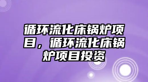 循環(huán)流化床鍋爐項目，循環(huán)流化床鍋爐項目投資