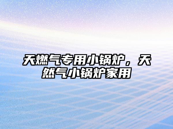 天燃?xì)鈱Ｓ眯″仩t，天然氣小鍋爐家用