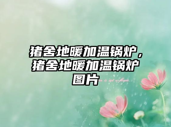 豬舍地暖加溫鍋爐，豬舍地暖加溫鍋爐圖片