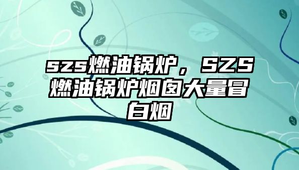 szs燃油鍋爐，SZS燃油鍋爐煙囪大量冒白煙