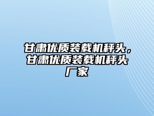 甘肅優(yōu)質裝載機秤頭，甘肅優(yōu)質裝載機秤頭廠家