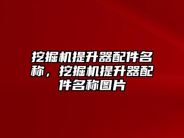 挖掘機(jī)提升器配件名稱，挖掘機(jī)提升器配件名稱圖片