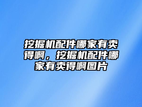 挖掘機配件哪家有賣得啊，挖掘機配件哪家有賣得啊圖片