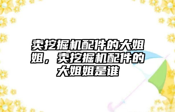 賣挖掘機配件的大姐姐，賣挖掘機配件的大姐姐是誰