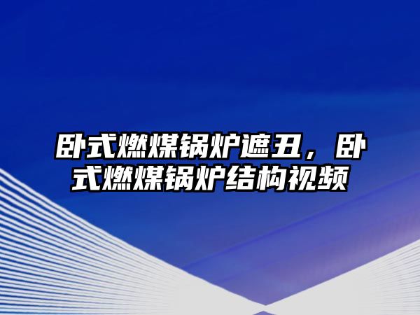 臥式燃煤鍋爐遮丑，臥式燃煤鍋爐結(jié)構(gòu)視頻