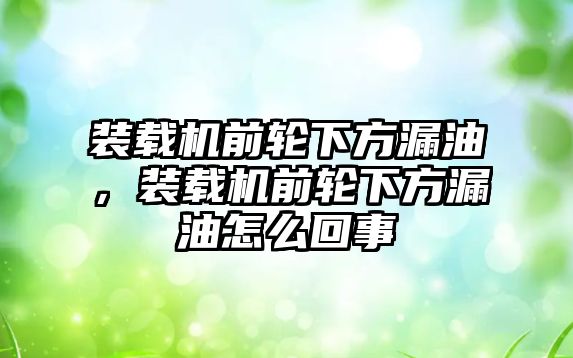 裝載機(jī)前輪下方漏油，裝載機(jī)前輪下方漏油怎么回事