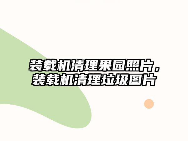 裝載機清理果園照片，裝載機清理垃圾圖片