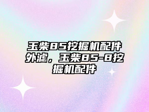 玉柴85挖掘機(jī)配件外濾，玉柴85-8挖掘機(jī)配件