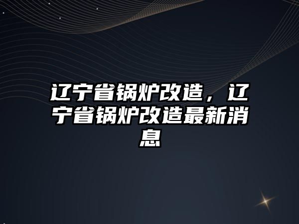 遼寧省鍋爐改造，遼寧省鍋爐改造最新消息