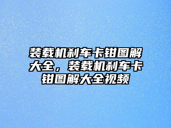 裝載機(jī)剎車卡鉗圖解大全，裝載機(jī)剎車卡鉗圖解大全視頻