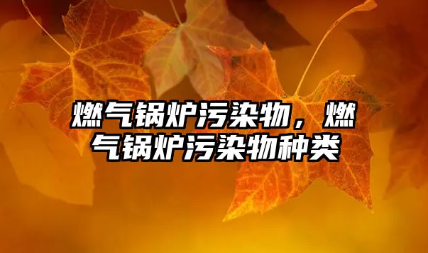 燃?xì)忮仩t污染物，燃?xì)忮仩t污染物種類