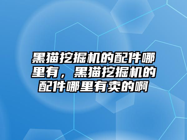 黑貓挖掘機(jī)的配件哪里有，黑貓挖掘機(jī)的配件哪里有賣的啊