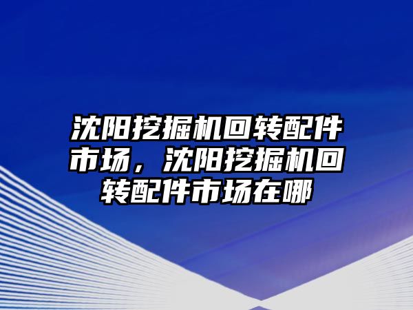 沈陽挖掘機回轉(zhuǎn)配件市場，沈陽挖掘機回轉(zhuǎn)配件市場在哪