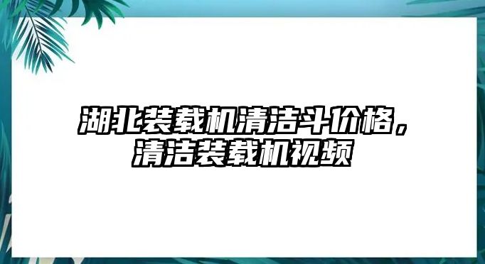 湖北裝載機(jī)清潔斗價(jià)格，清潔裝載機(jī)視頻