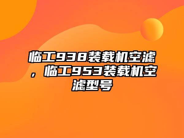 臨工938裝載機(jī)空濾，臨工953裝載機(jī)空濾型號