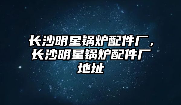 長(zhǎng)沙明星鍋爐配件廠，長(zhǎng)沙明星鍋爐配件廠地址