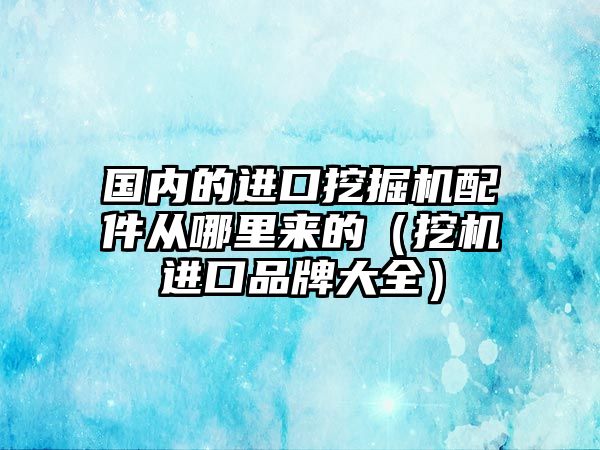 國(guó)內(nèi)的進(jìn)口挖掘機(jī)配件從哪里來的（挖機(jī)進(jìn)口品牌大全）