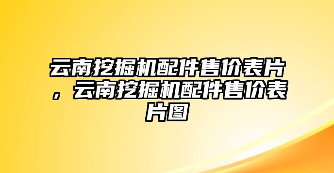 云南挖掘機(jī)配件售價表片，云南挖掘機(jī)配件售價表片圖