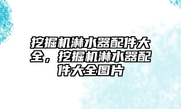 挖掘機淋水器配件大全，挖掘機淋水器配件大全圖片