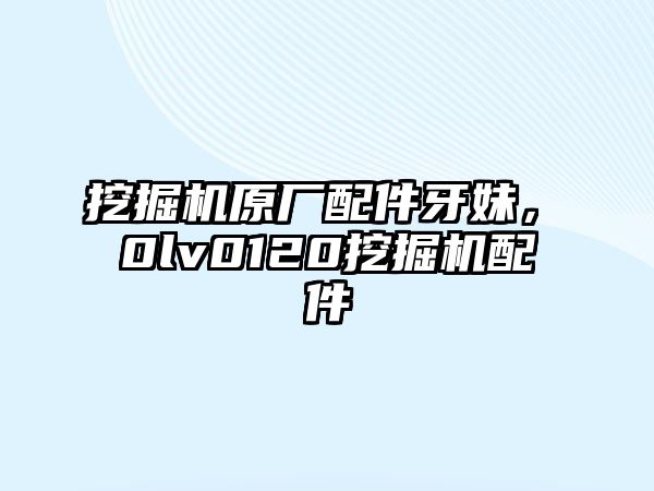 挖掘機原廠配件牙妹，ⅴ0lv0120挖掘機配件