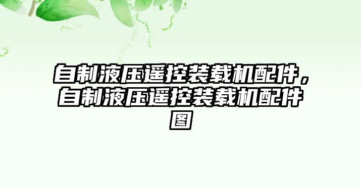 自制液壓遙控裝載機(jī)配件，自制液壓遙控裝載機(jī)配件圖